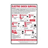 Workplace Safety Poster  Poly